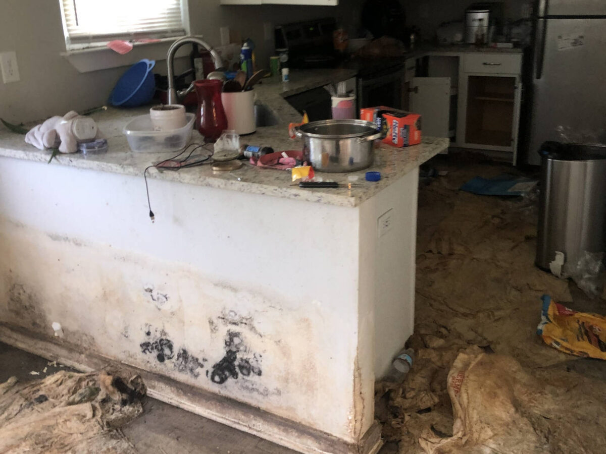 Kitchen Restoration Repair & Remediation in Birmingham Home by Roman & Co_LS