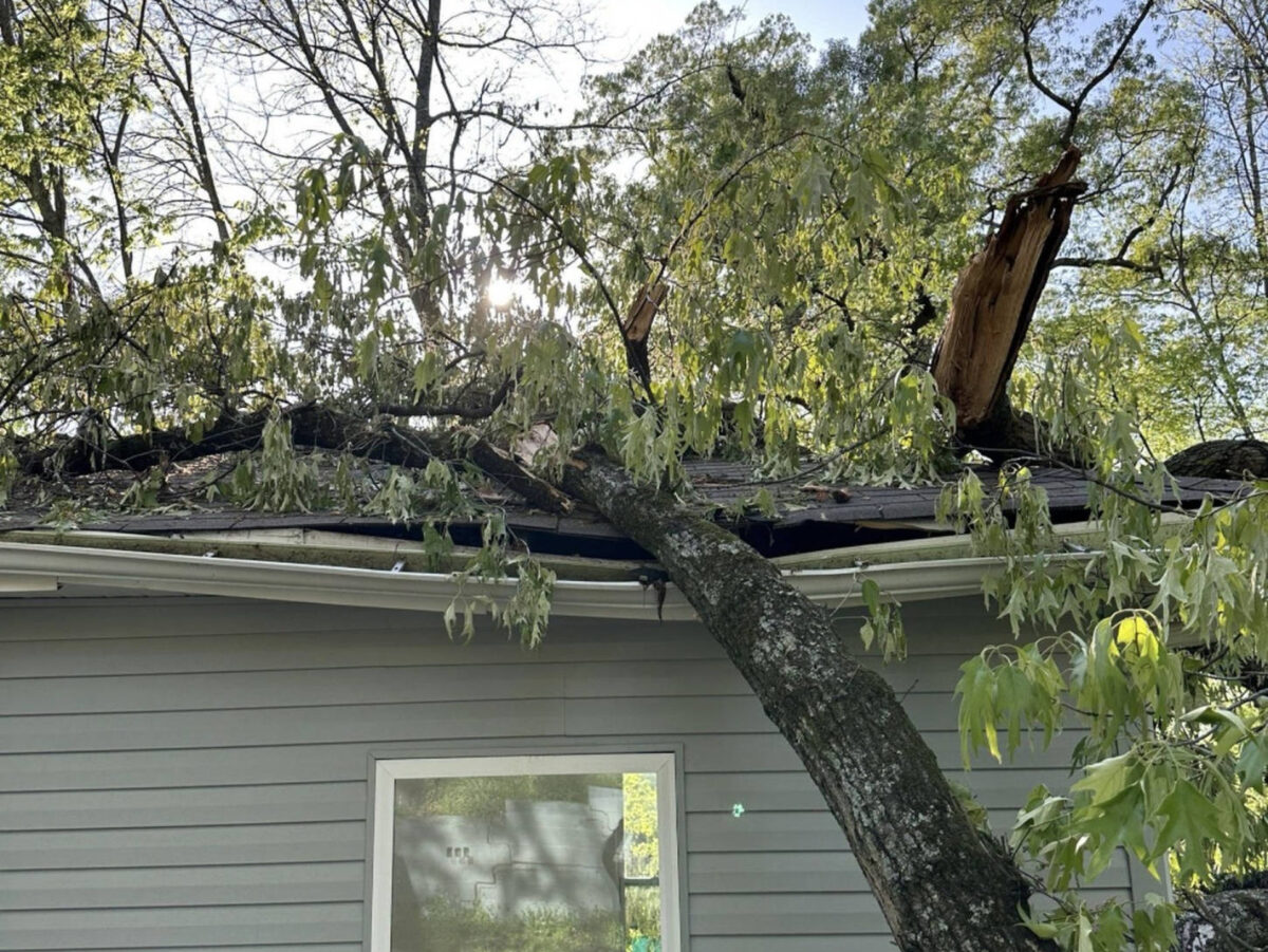 Tree Storm Damage to Roof in Birmingham - Repaired by Roman & Co_LS