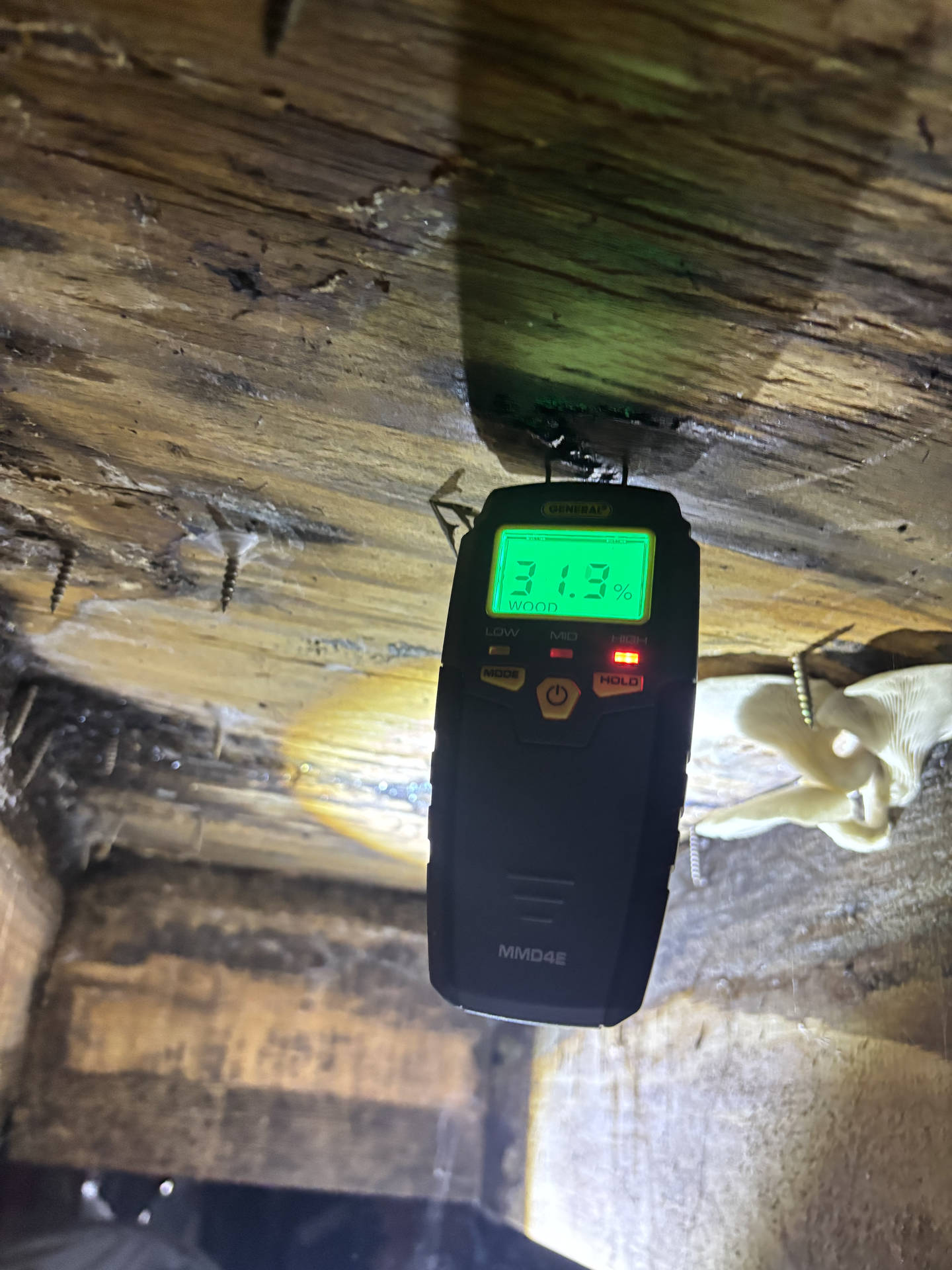 Water Damage Moisture Repair Near Birmingham - Roman & Co